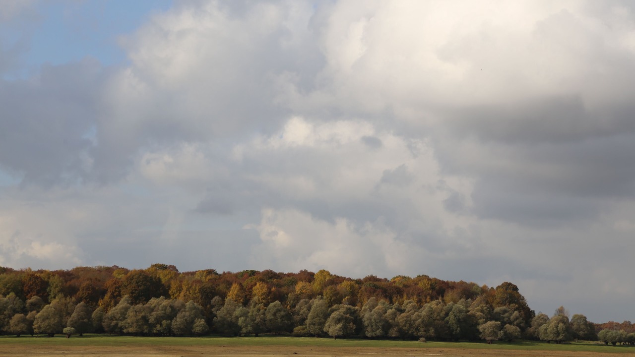 Photo of Others in Vendeuvre-sur-Barse