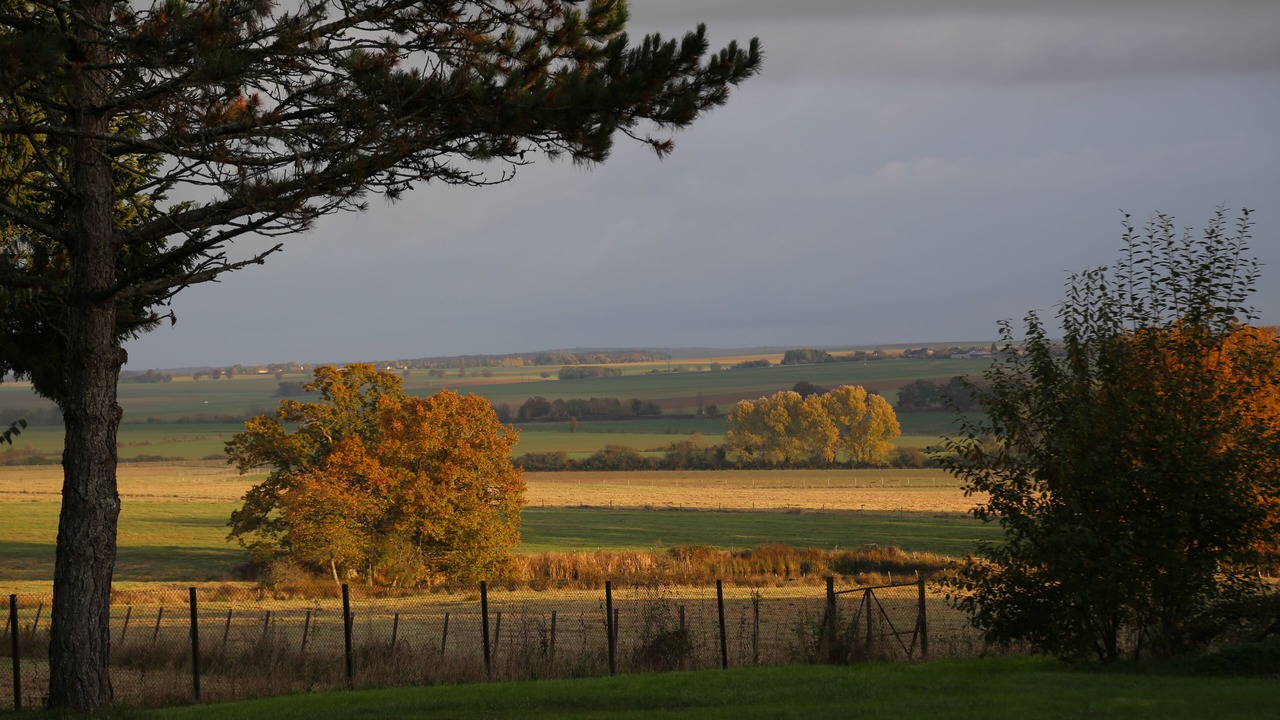 Photo of Outdoor in Vendeuvre-sur-Barse