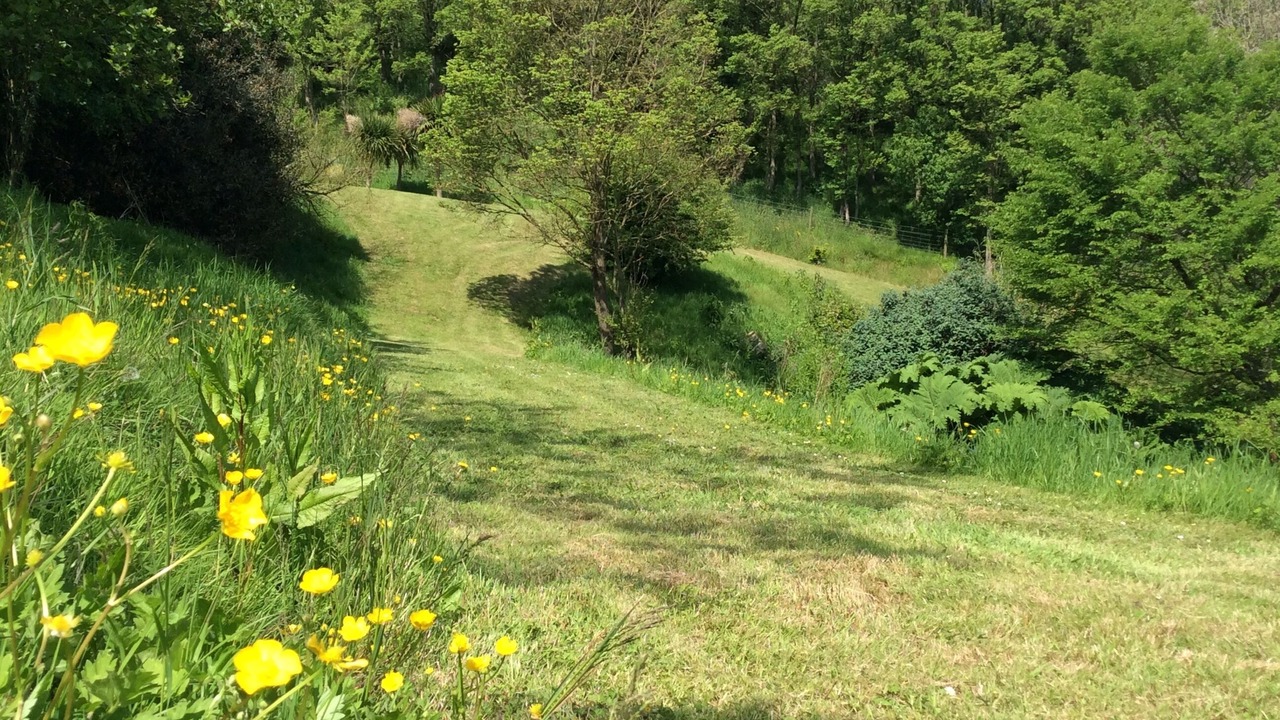 Photo of Outdoor in Wadebridge