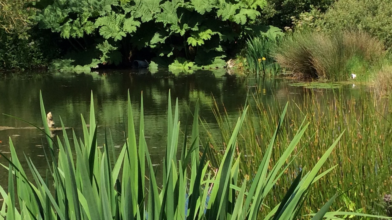 Photo of Outdoor in Wadebridge