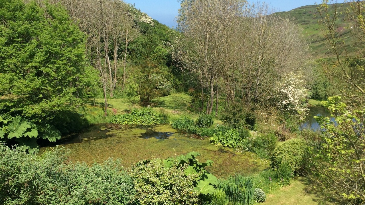 Photo of Outdoor in Wadebridge