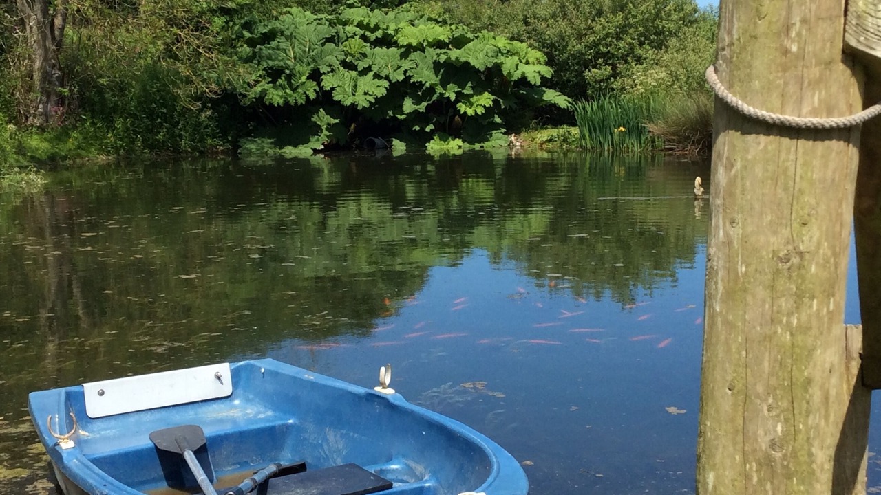 Photo of Outdoor in Wadebridge