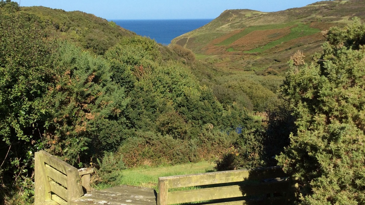 Photo of Outdoor in Wadebridge