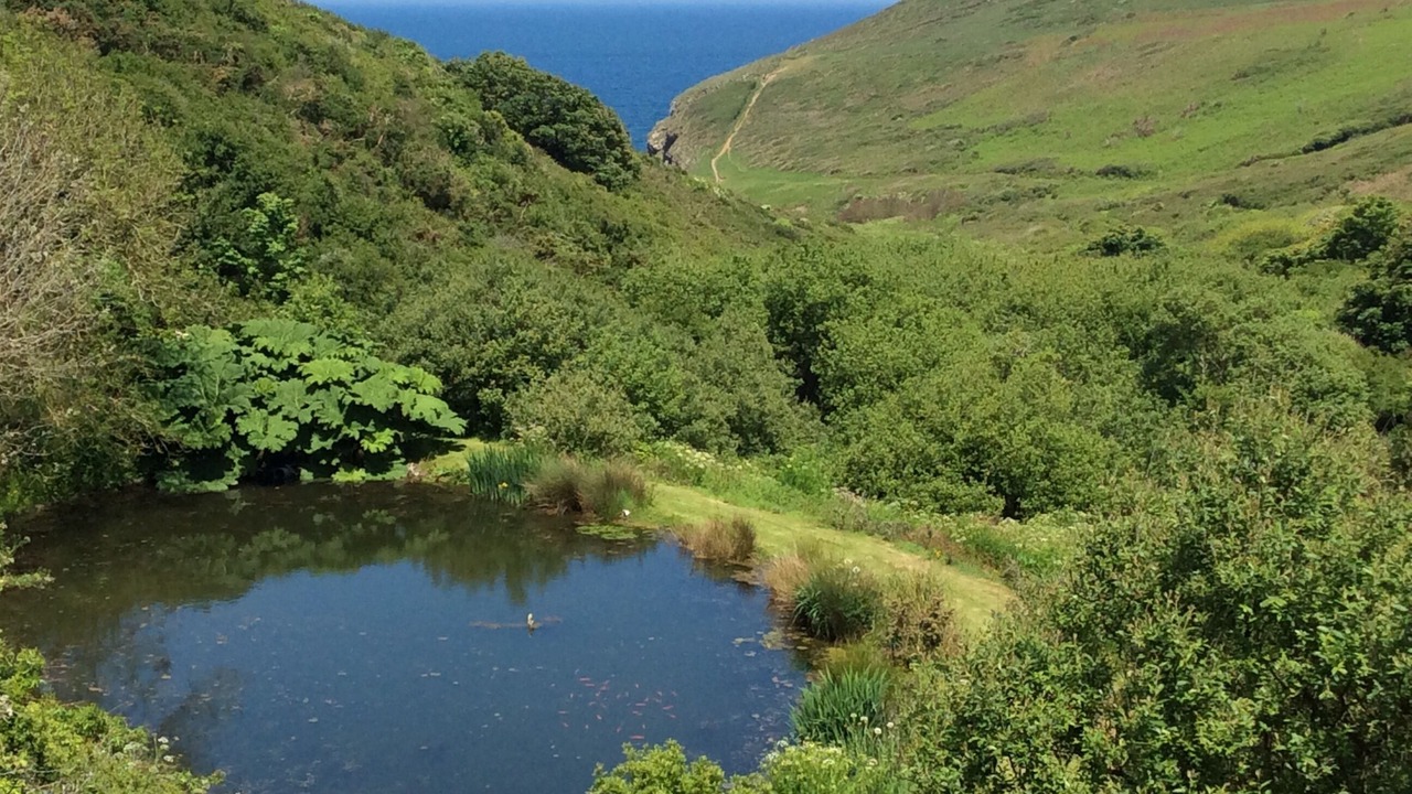 Photo of Others in Wadebridge