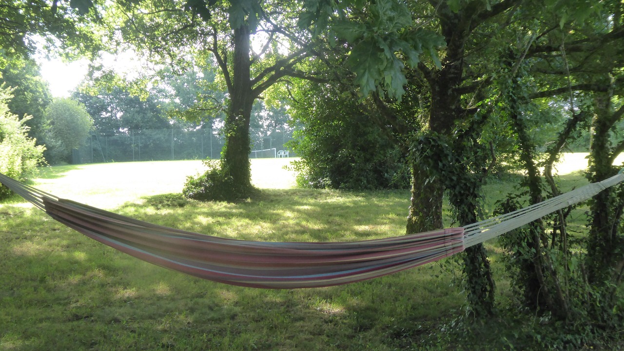 Photo of Others in Fougere
