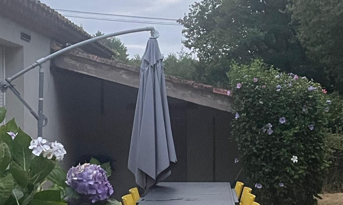 Photo of Outdoor in Fougere