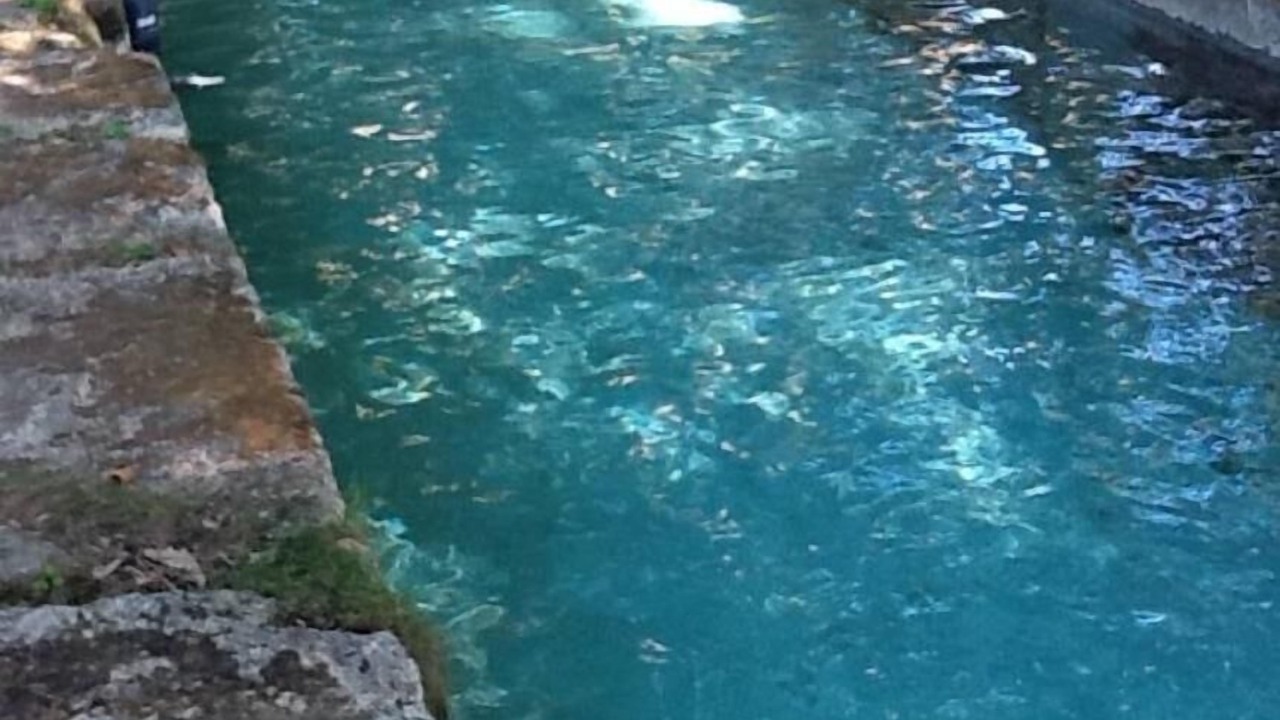 Photo of Outdoor in Le Cailar
