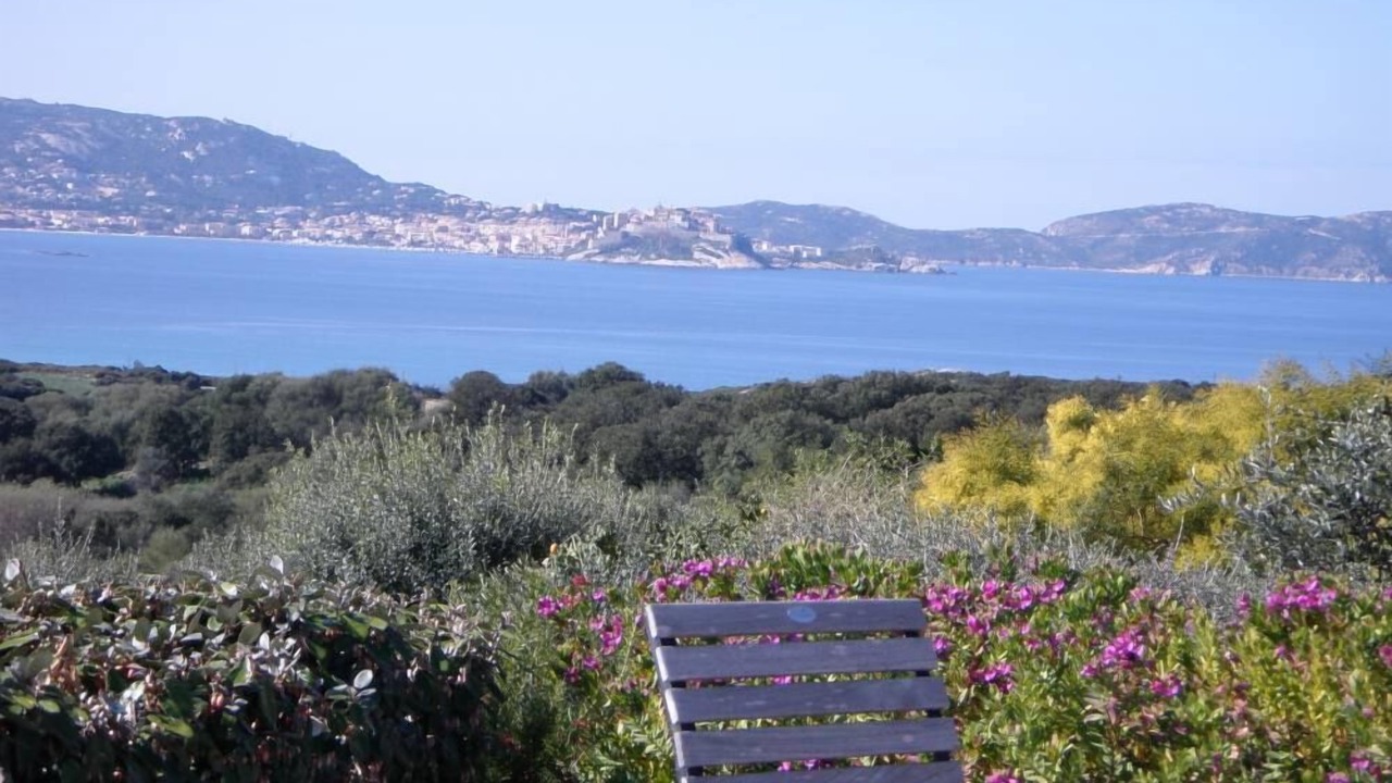 Photo of Others in Lumio