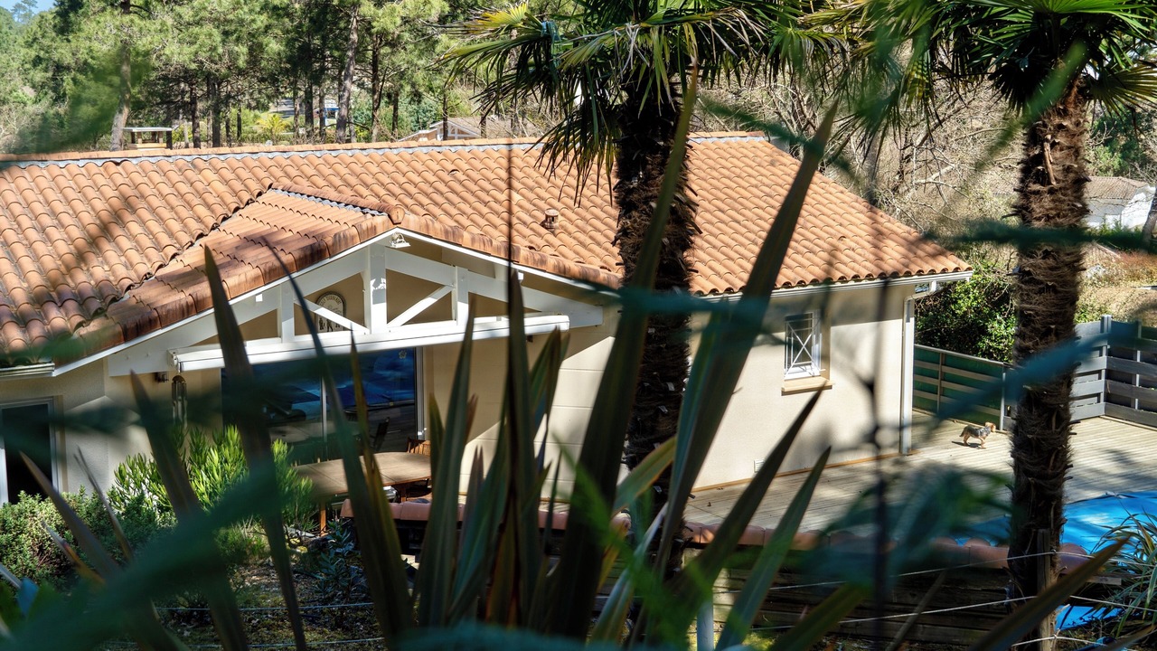 Photo of Outdoor in Biscarrosse
