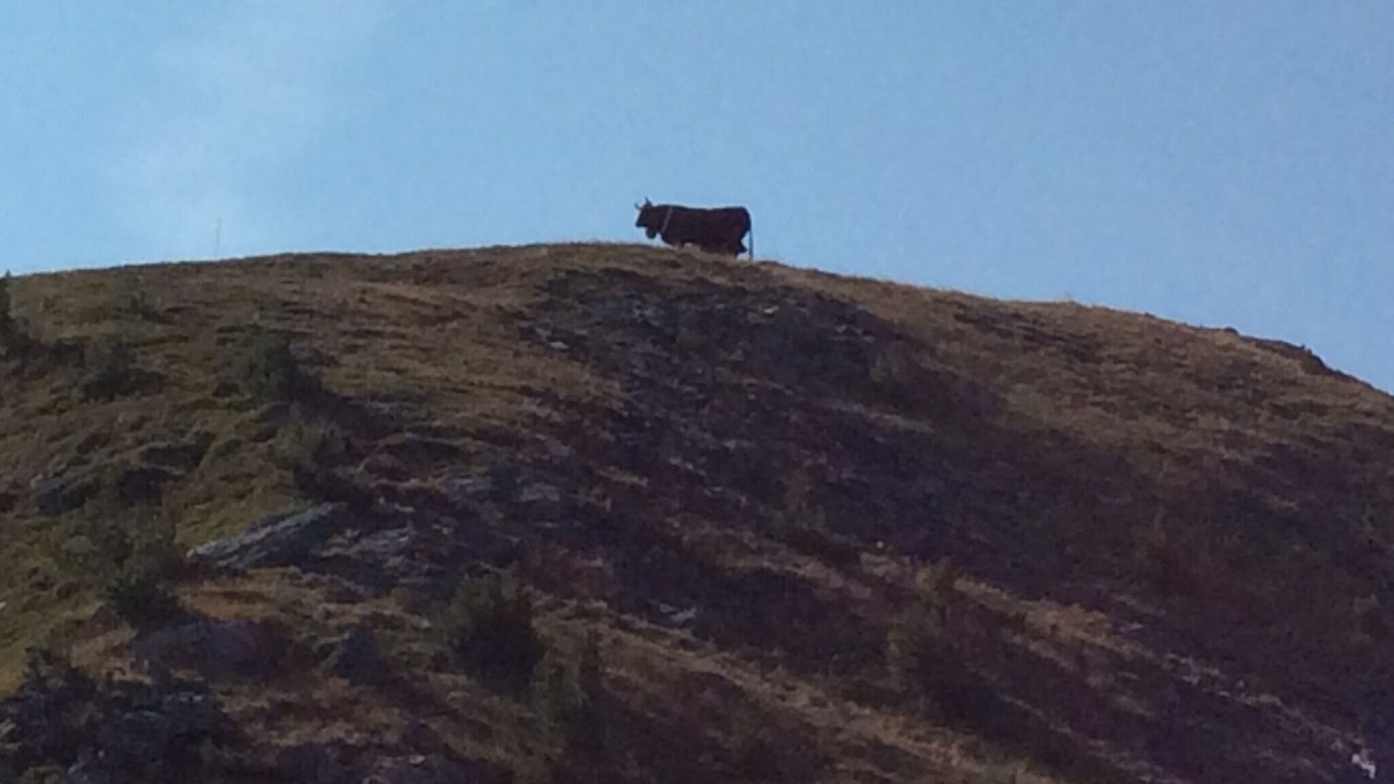 Photo of Others in Saint-Pierre-de-Clages
