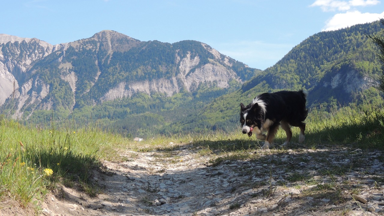 Photo of Outdoor in Glandage