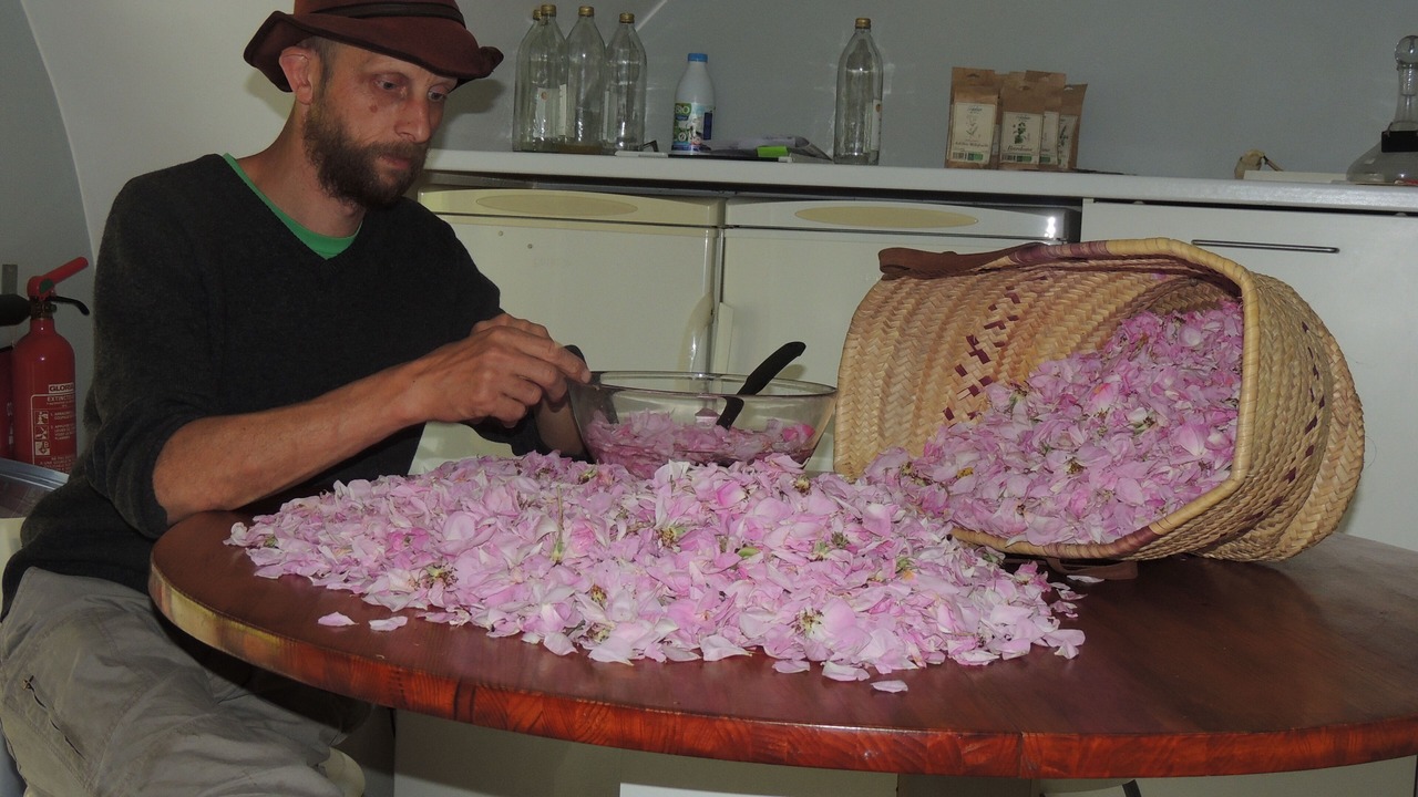 Photo of Others in Glandage