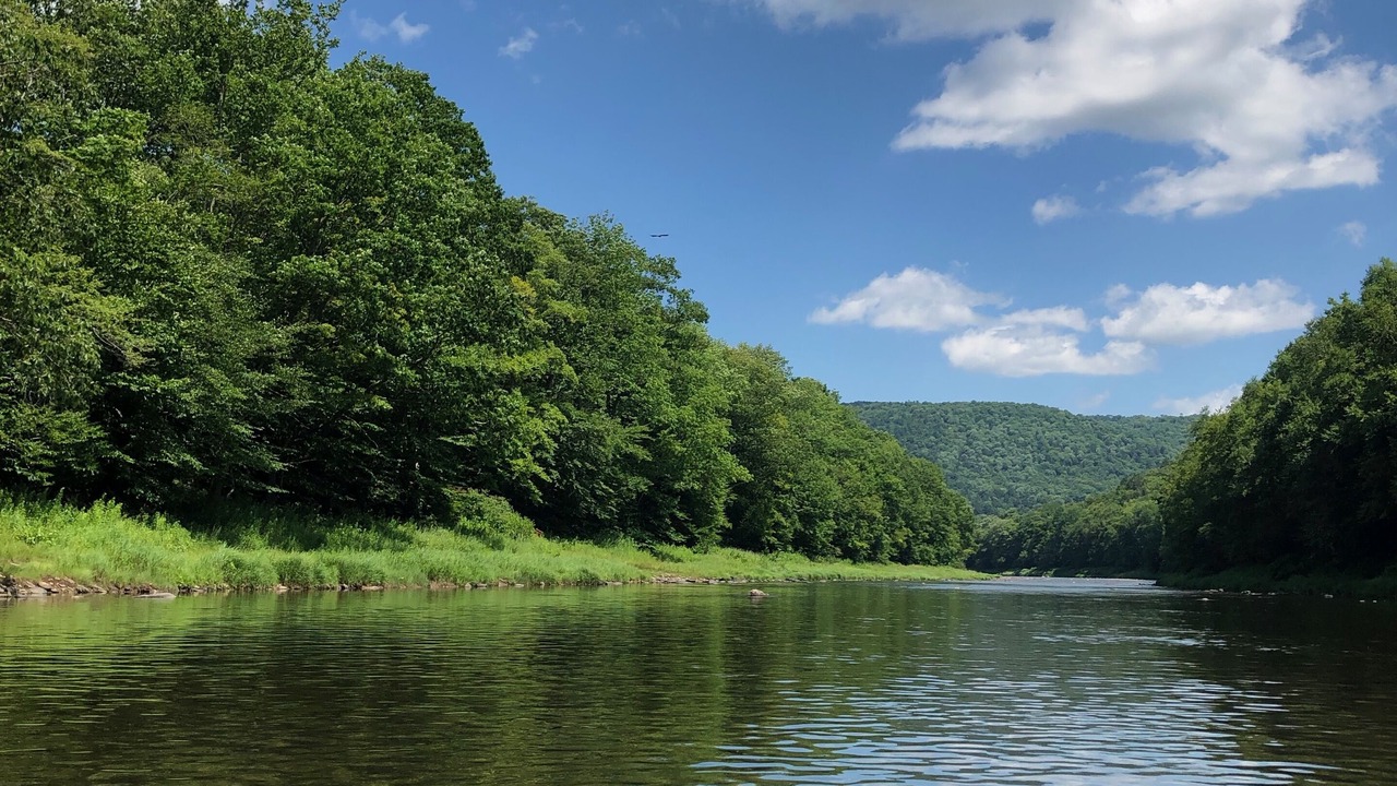 Photo of Outdoor in East Branch