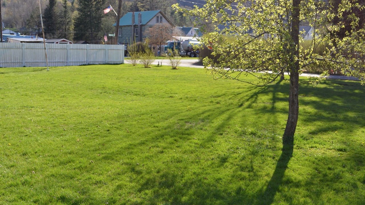 Photo of Others in East Branch