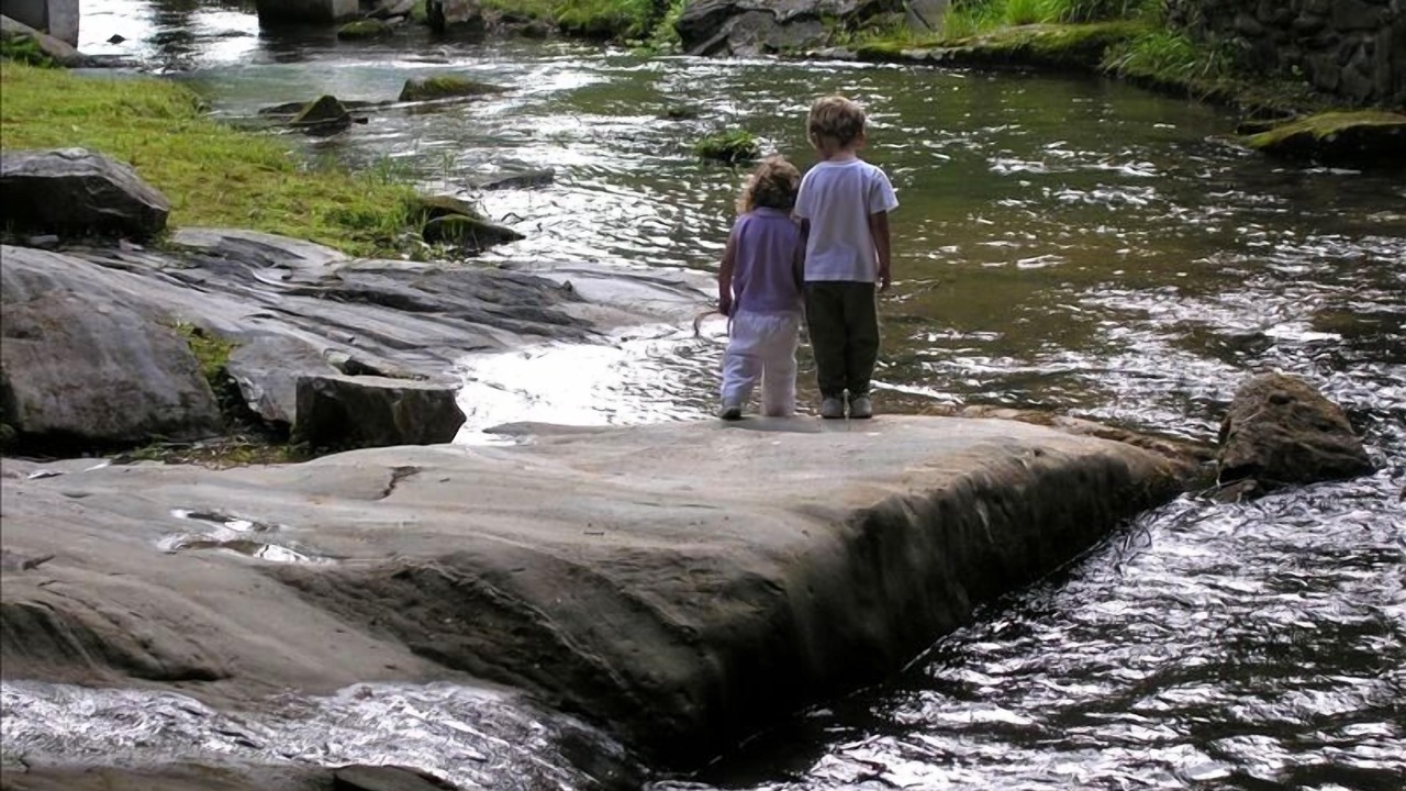 Photo of Others in Ellijay