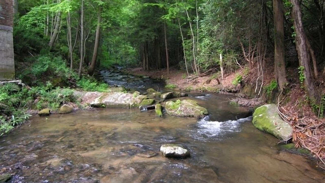 Photo of Others in Ellijay