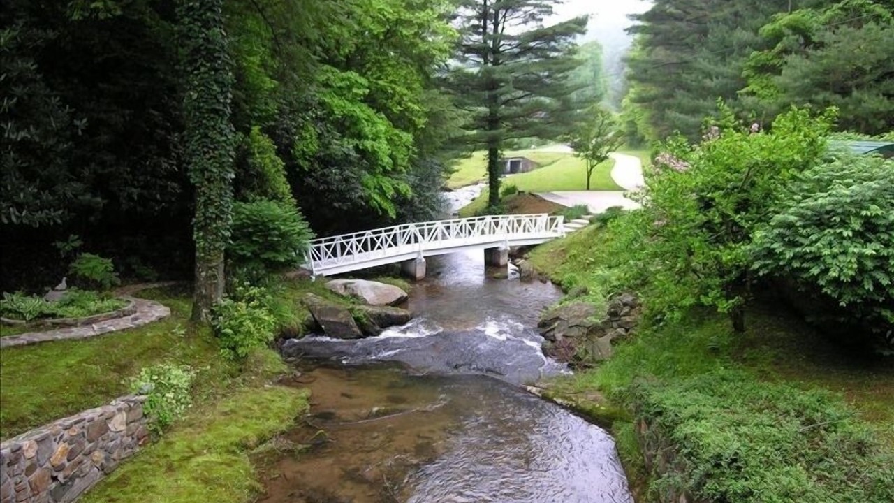 Photo of Others in Ellijay