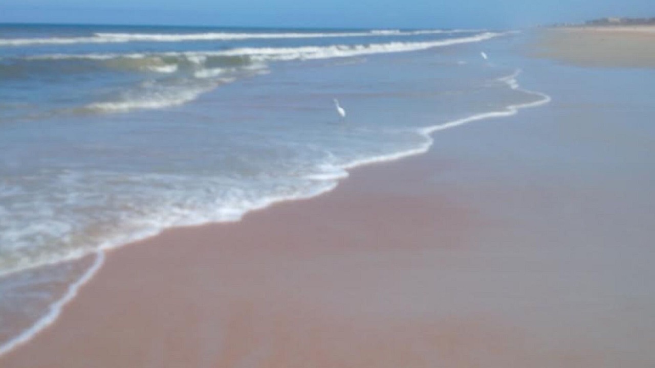 Photo of Others in O'byrne