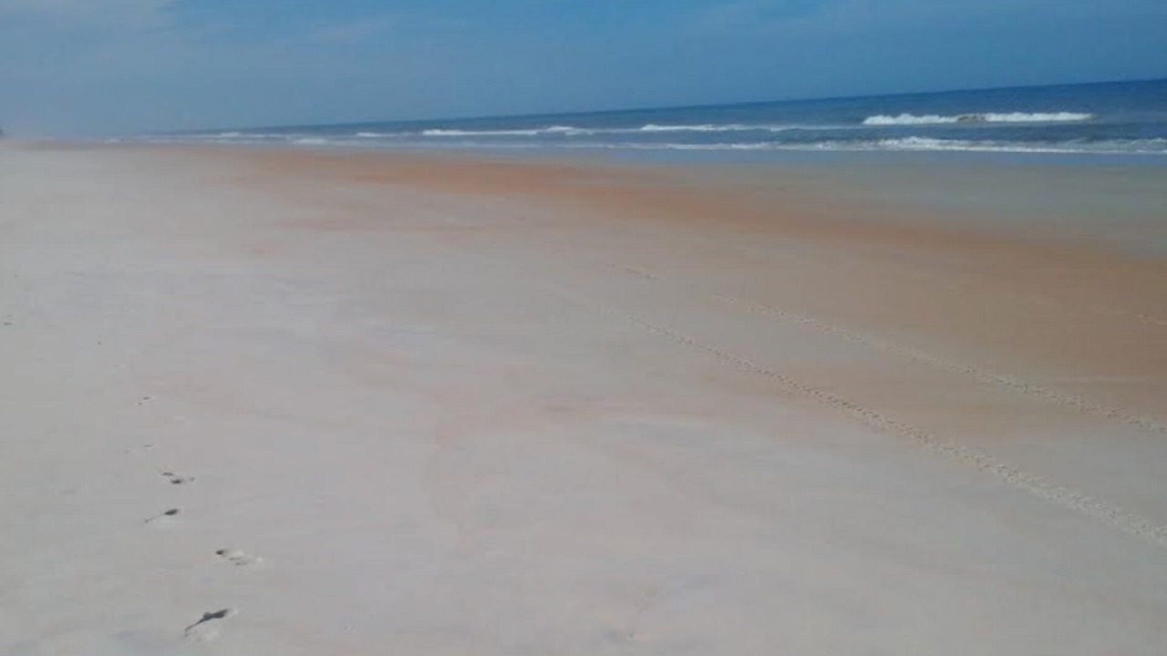 Photo of Others in O'byrne