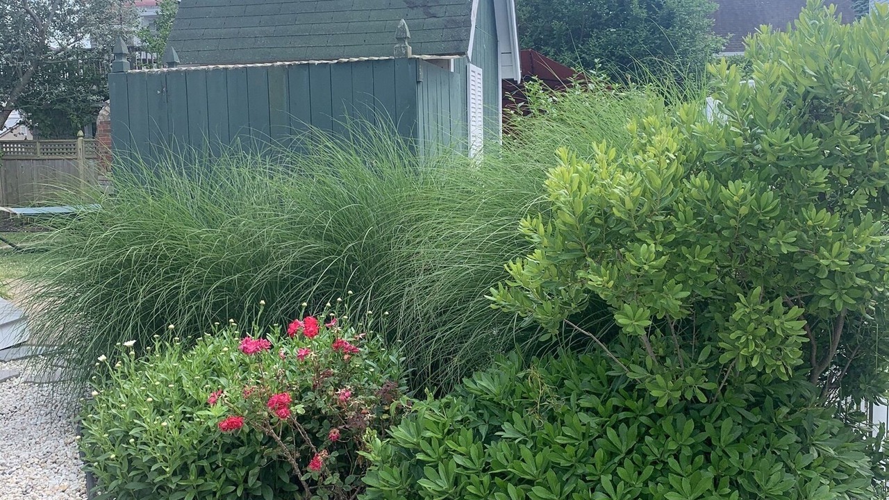 Photo of Outdoor in Beach Haven