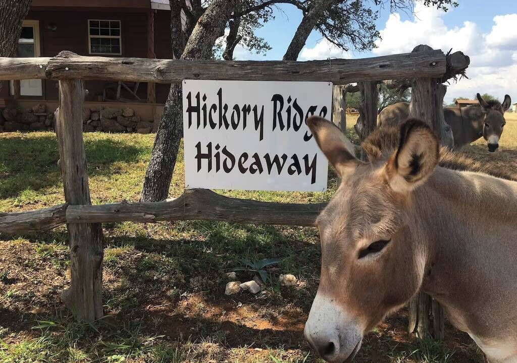 Photo of Others in Llano