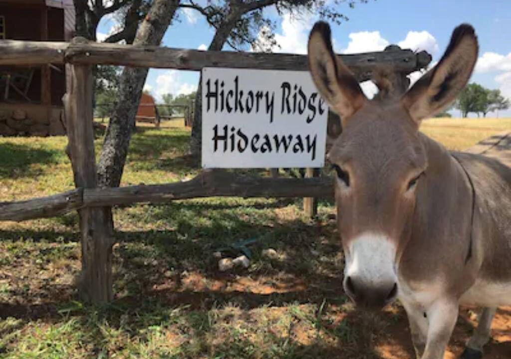 Photo of Others in Llano