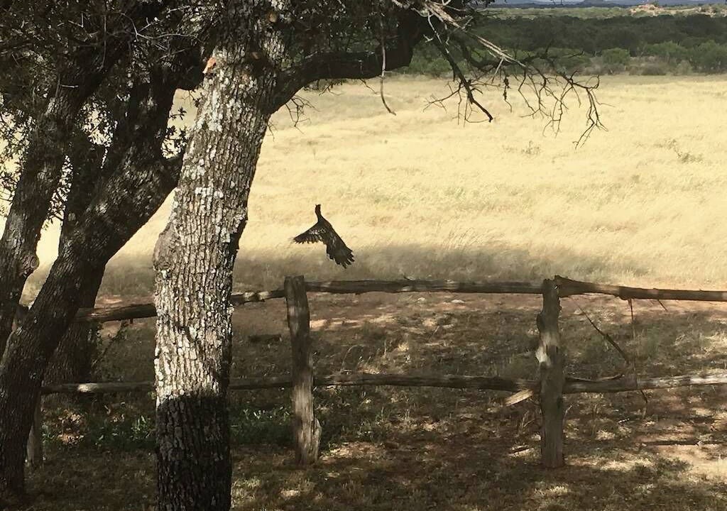 Photo of Others in Llano