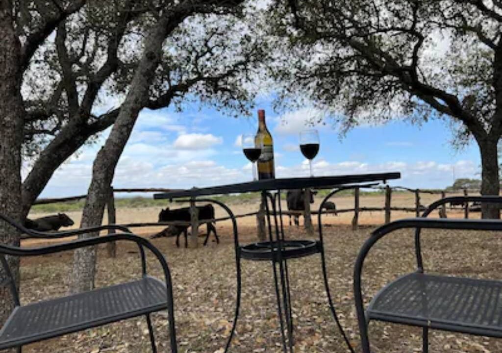 Photo of Others in Llano