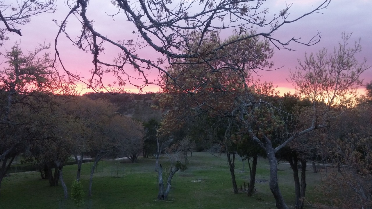 Photo of Others in Blanco