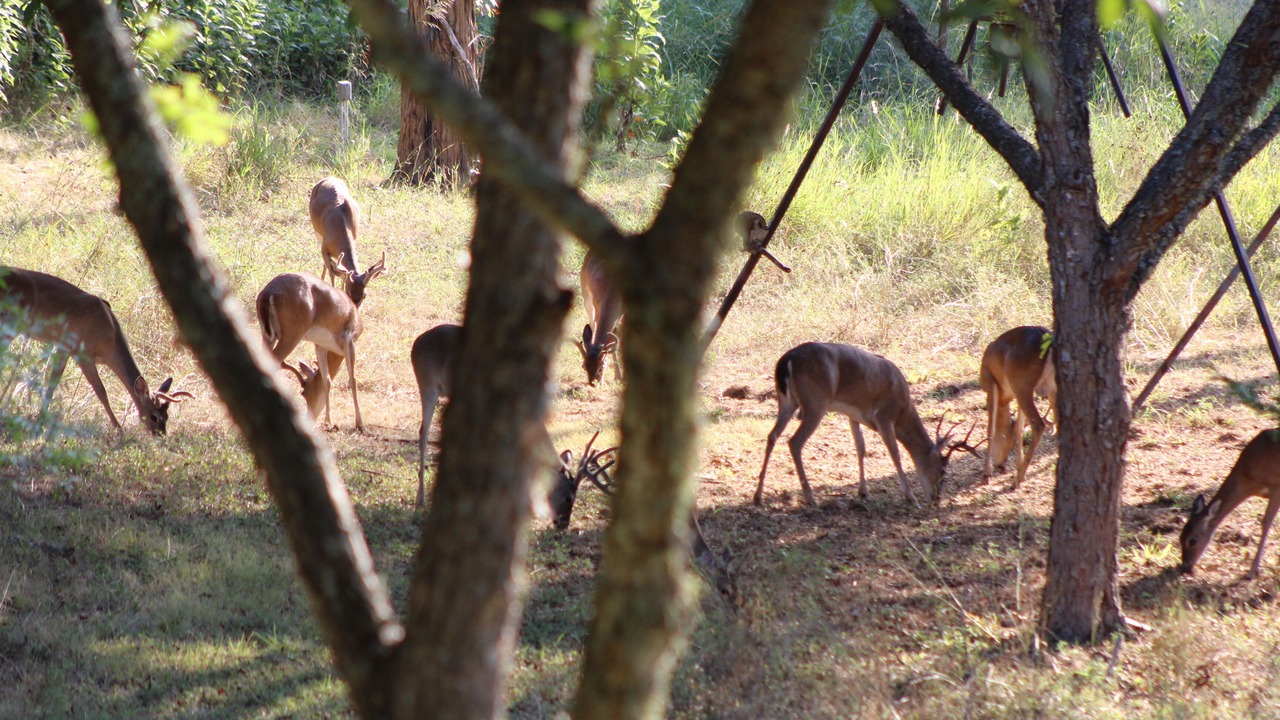 Photo of Outdoor in Blanco
