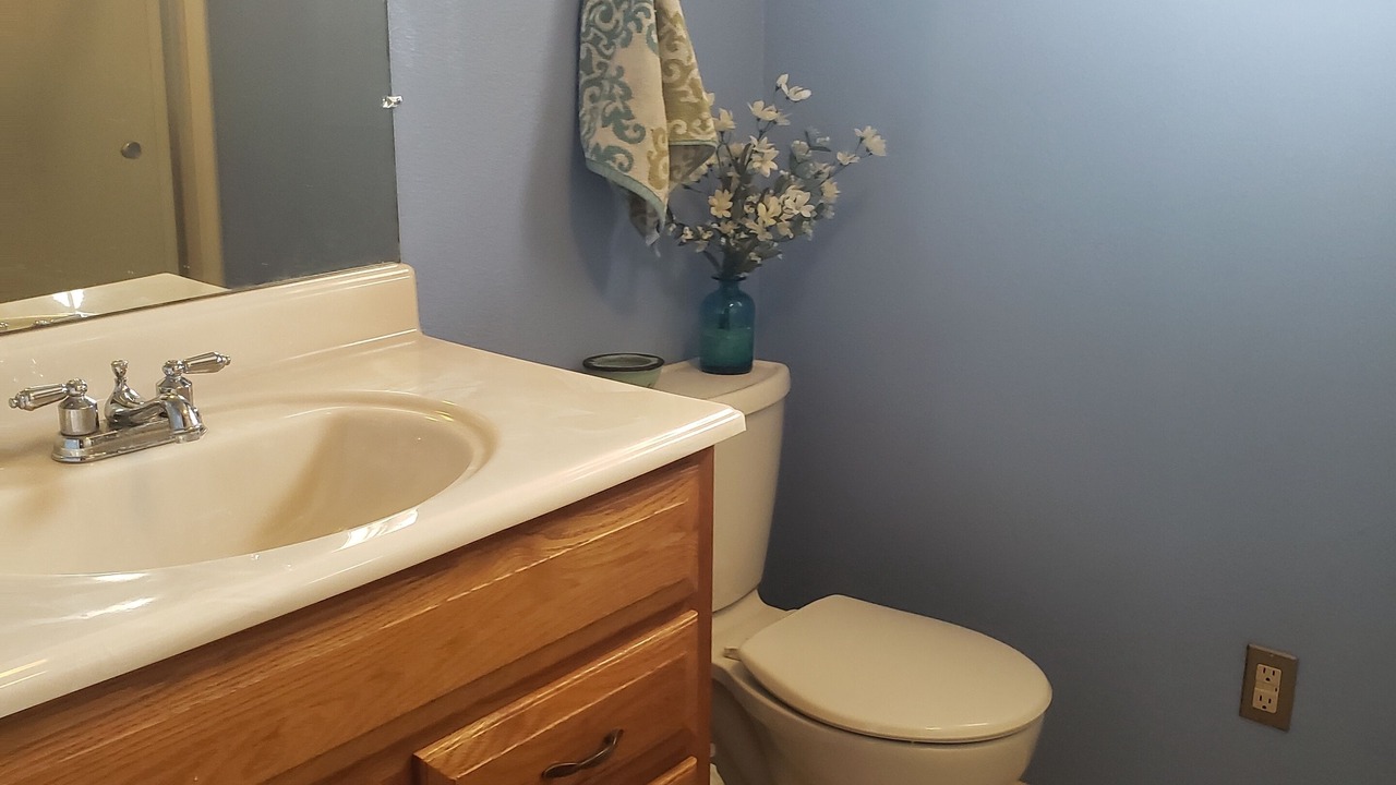 Photo of Bathroom in Gravois Mills
