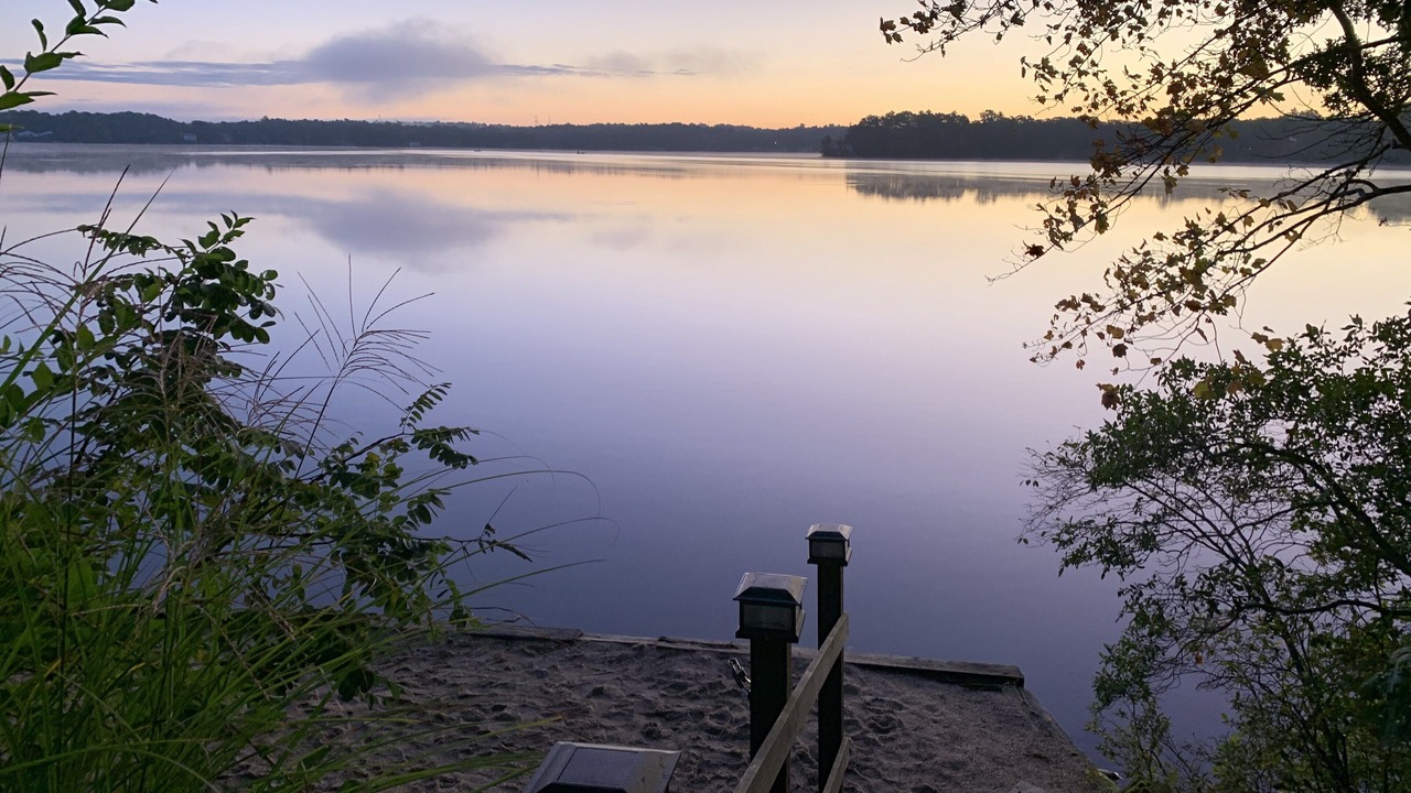 Photo of Others in Ponds of Plymouth