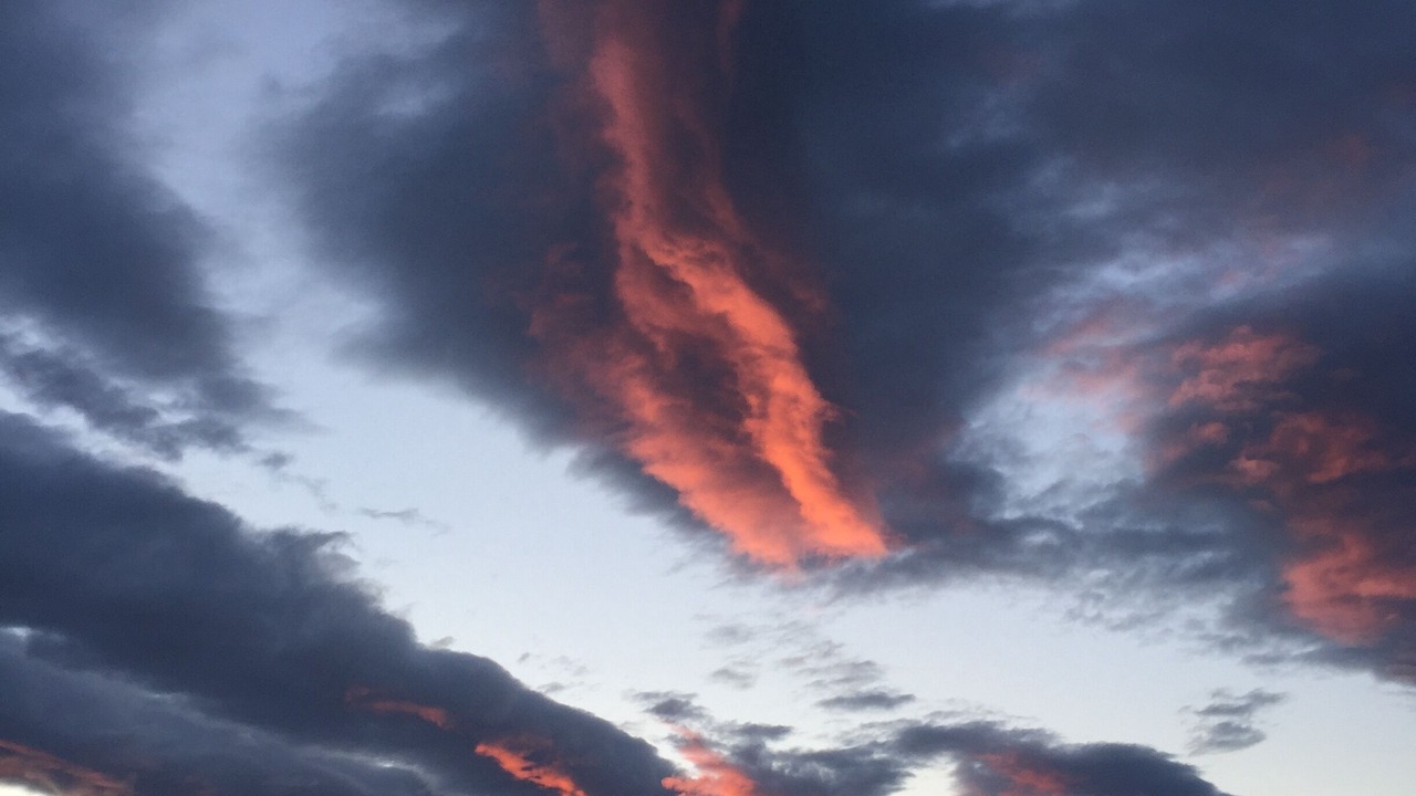 Photo of Others in Rockport