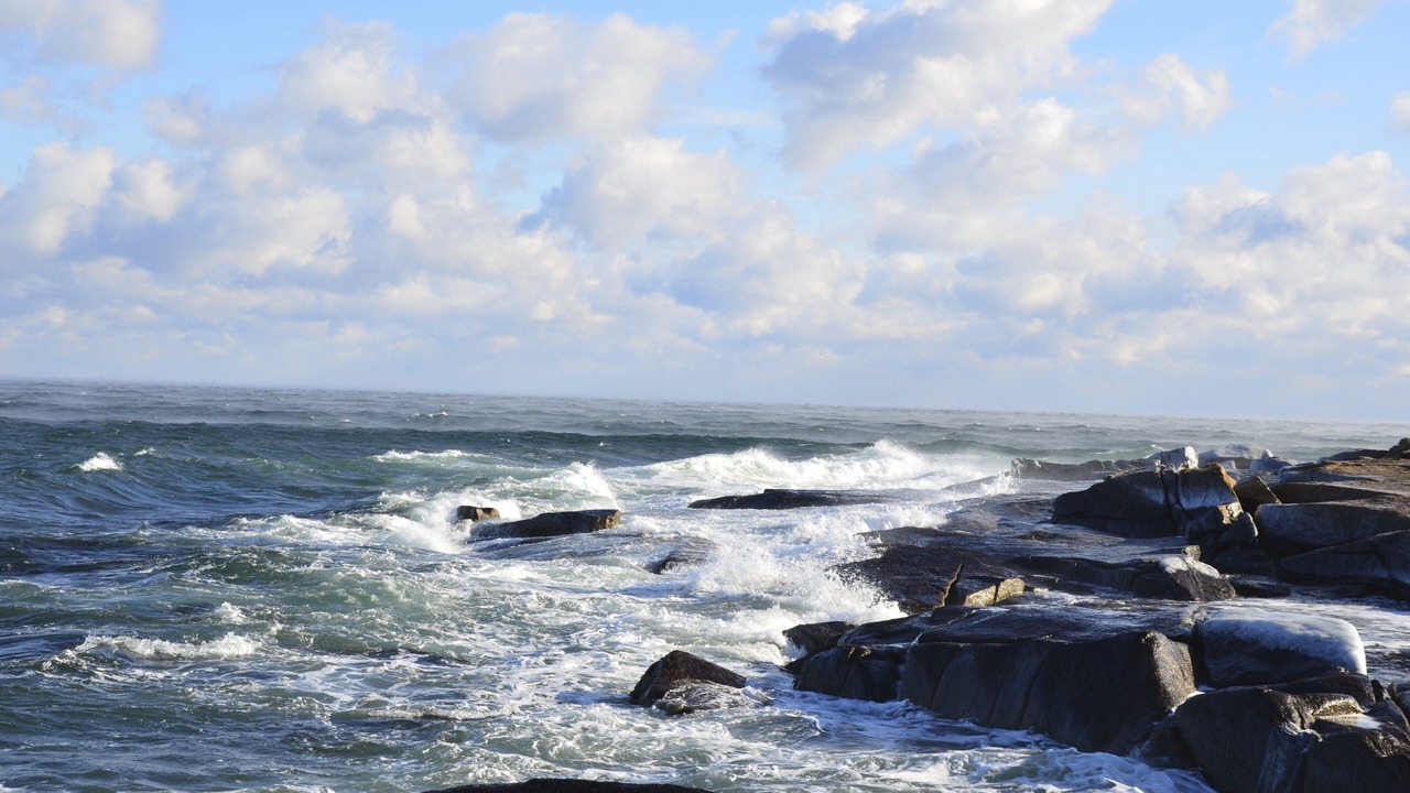 Photo of Others in Rockport