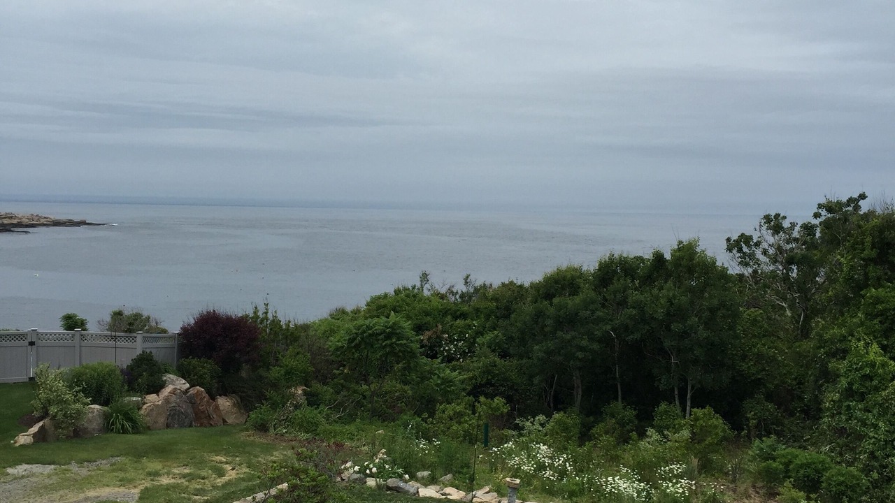 Photo of Others in Rockport