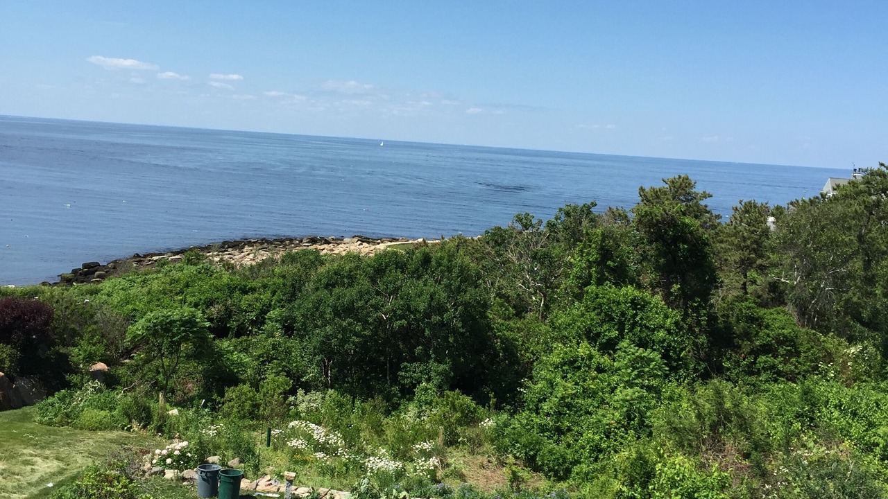 Photo of Others in Rockport