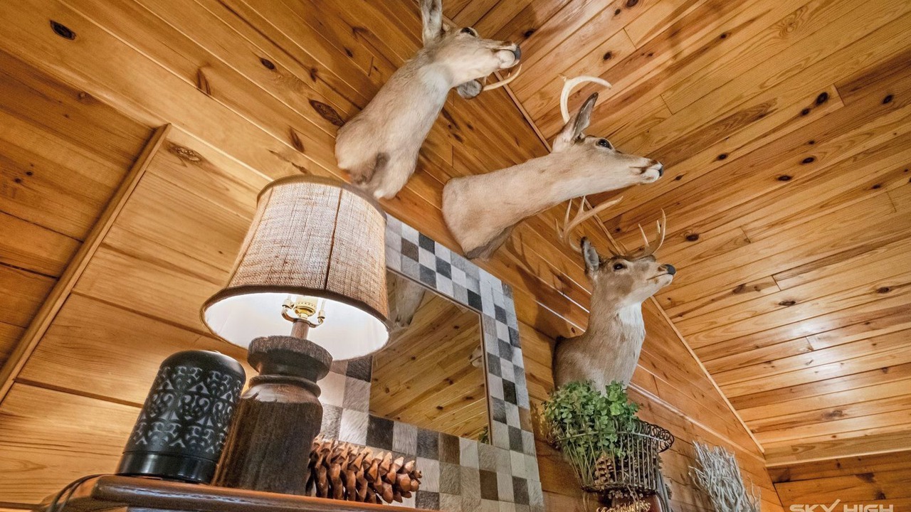 Photo of Livingroom in Eureka Springs
