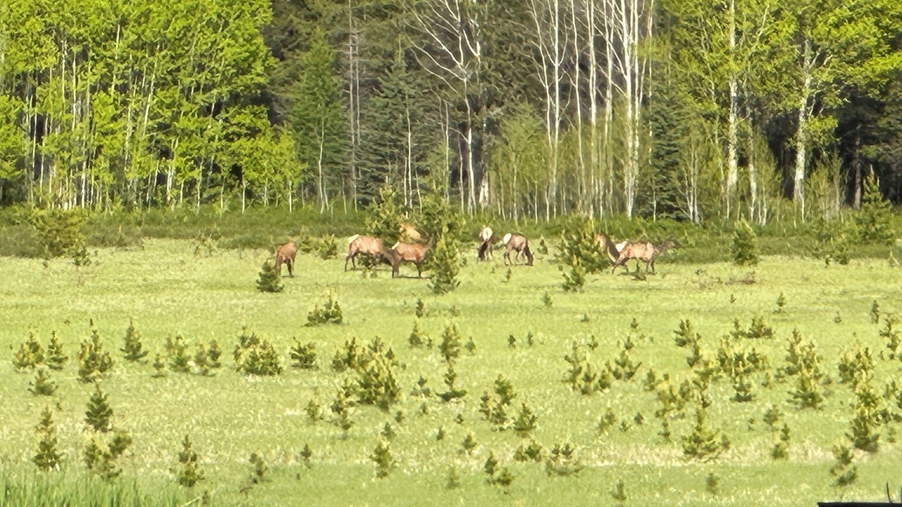 Photo of Others in Coram