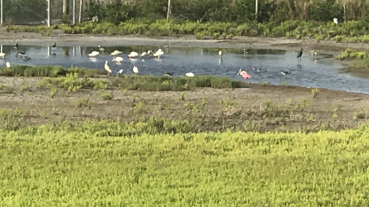 Photo of Others in Rockport