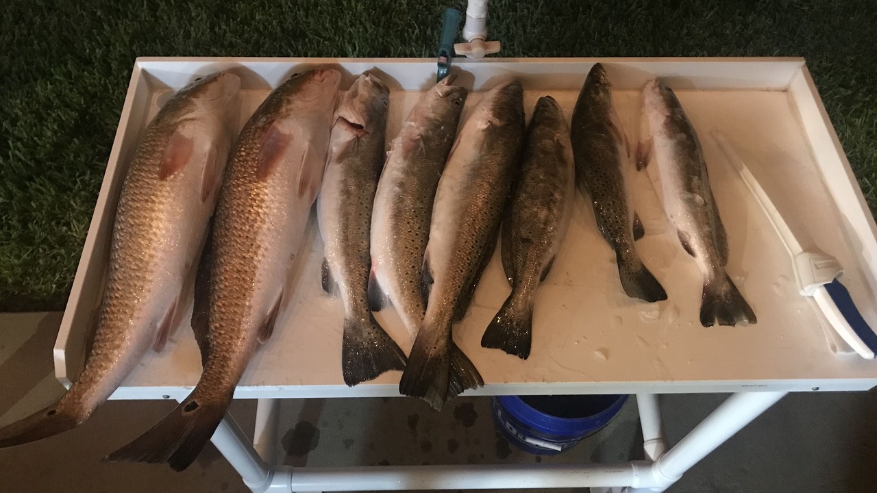 Photo of Others in Rockport