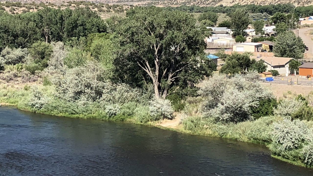 Photo of Outdoor in Navajo Dam