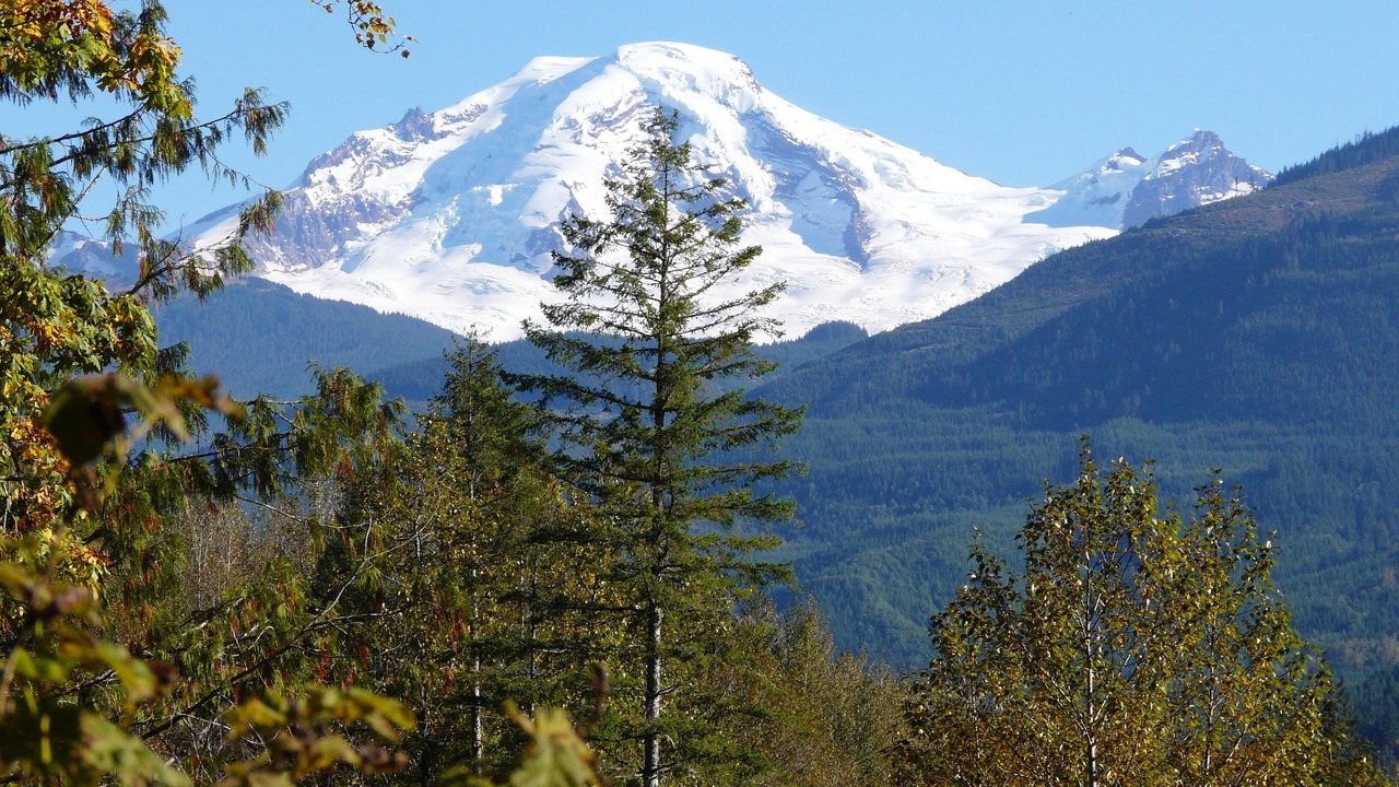 Photo of Others in Warnick