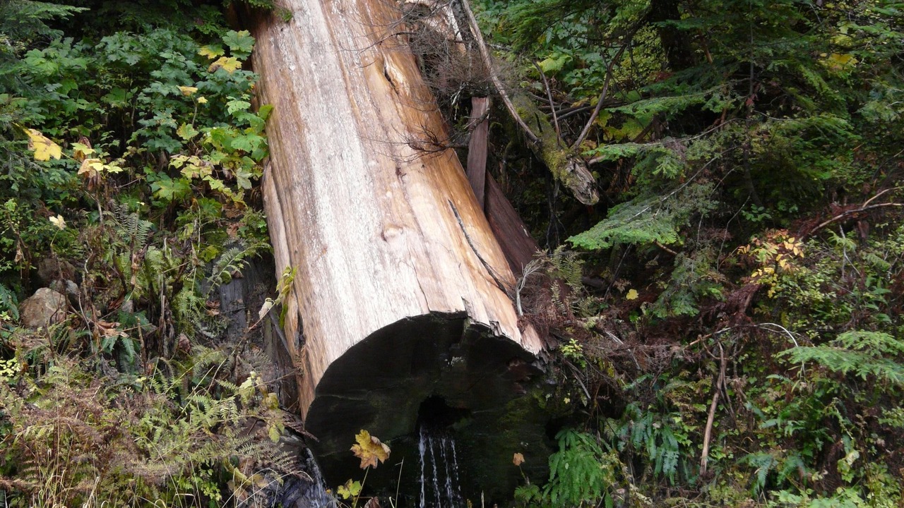 Photo of Others in Warnick