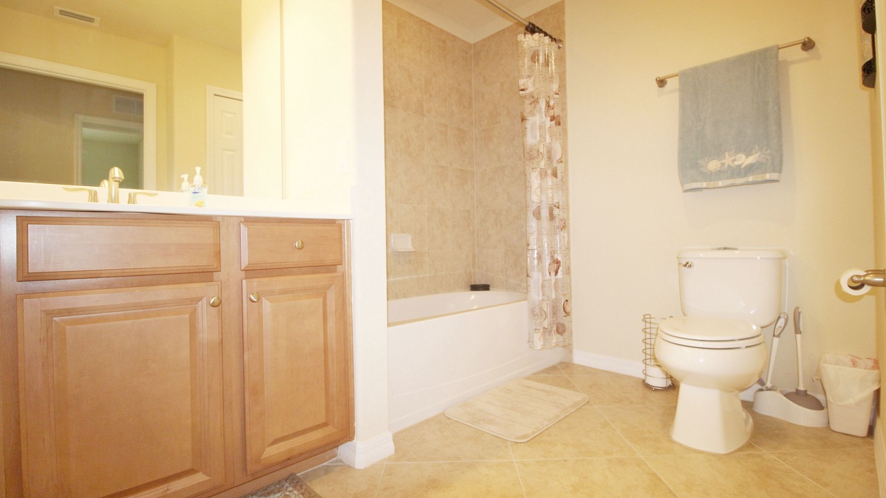 Photo of Bathroom in Bradenton