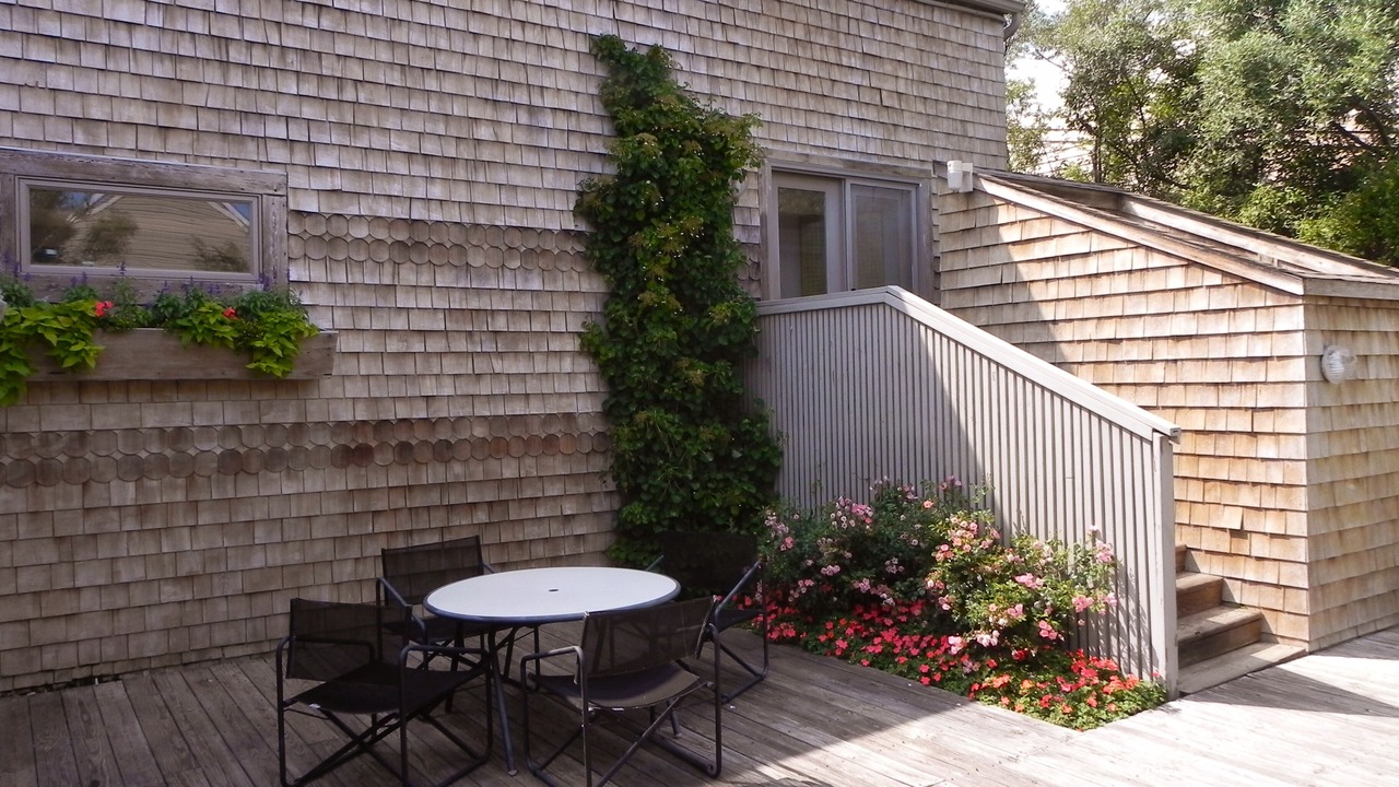 Photo of Others in Harvey Cedars