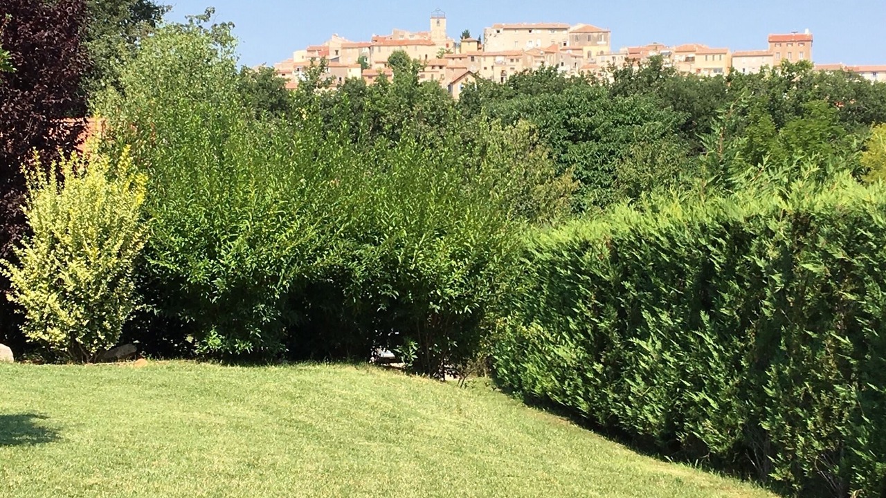Photo of Outdoor in Cabries