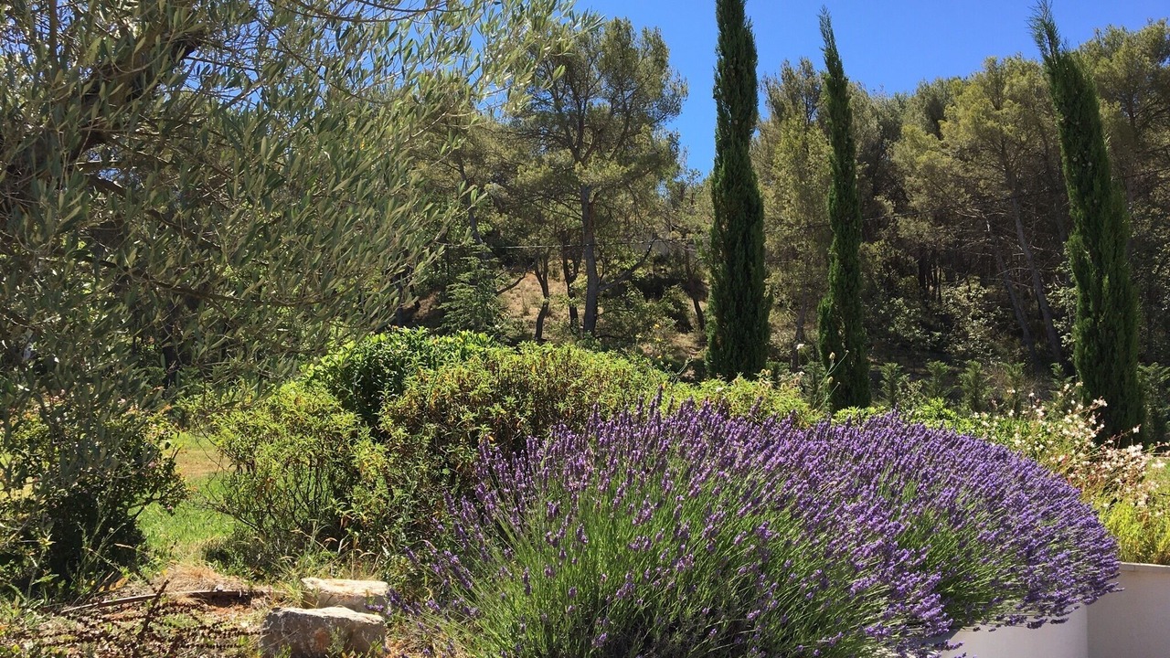 Photo of Outdoor in Cabries