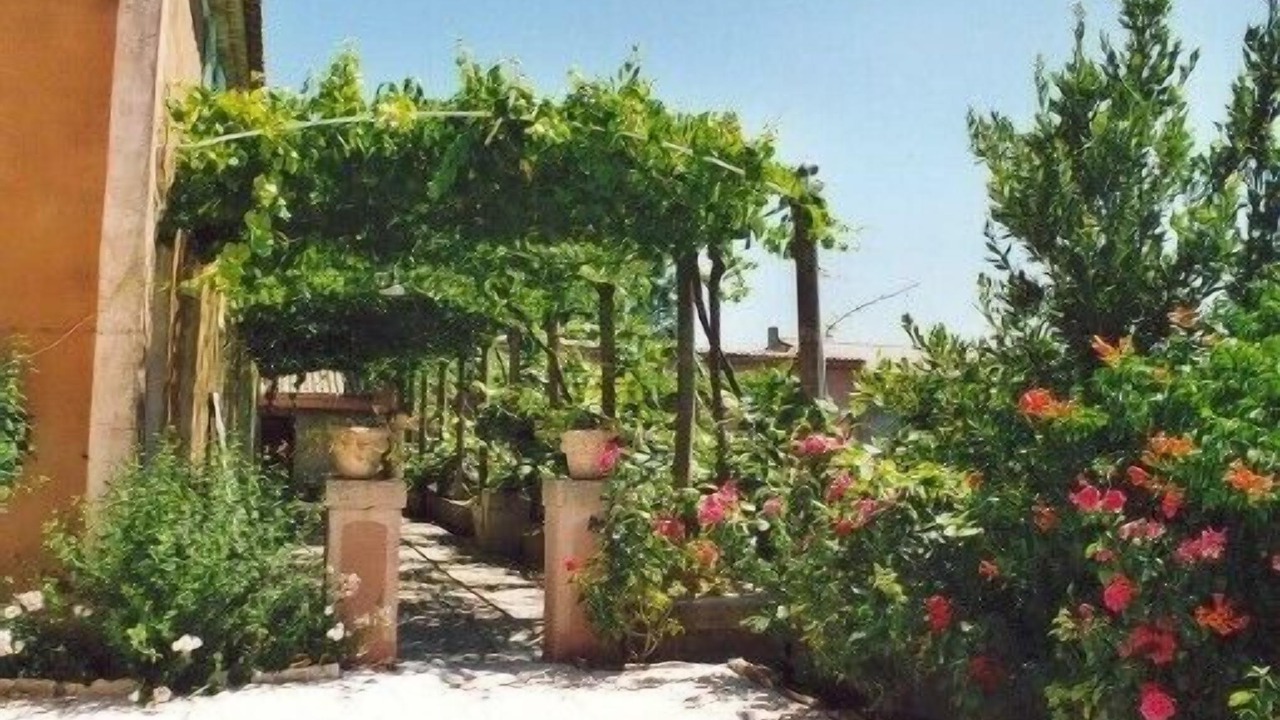 Photo of Outdoor in Pont-Saint-Esprit