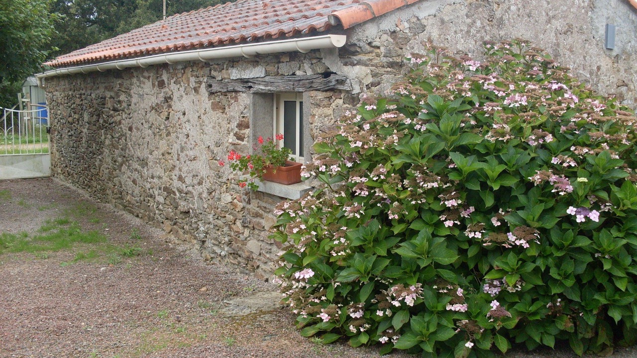 Photo of Outdoor in Saint-Pere-en-Retz