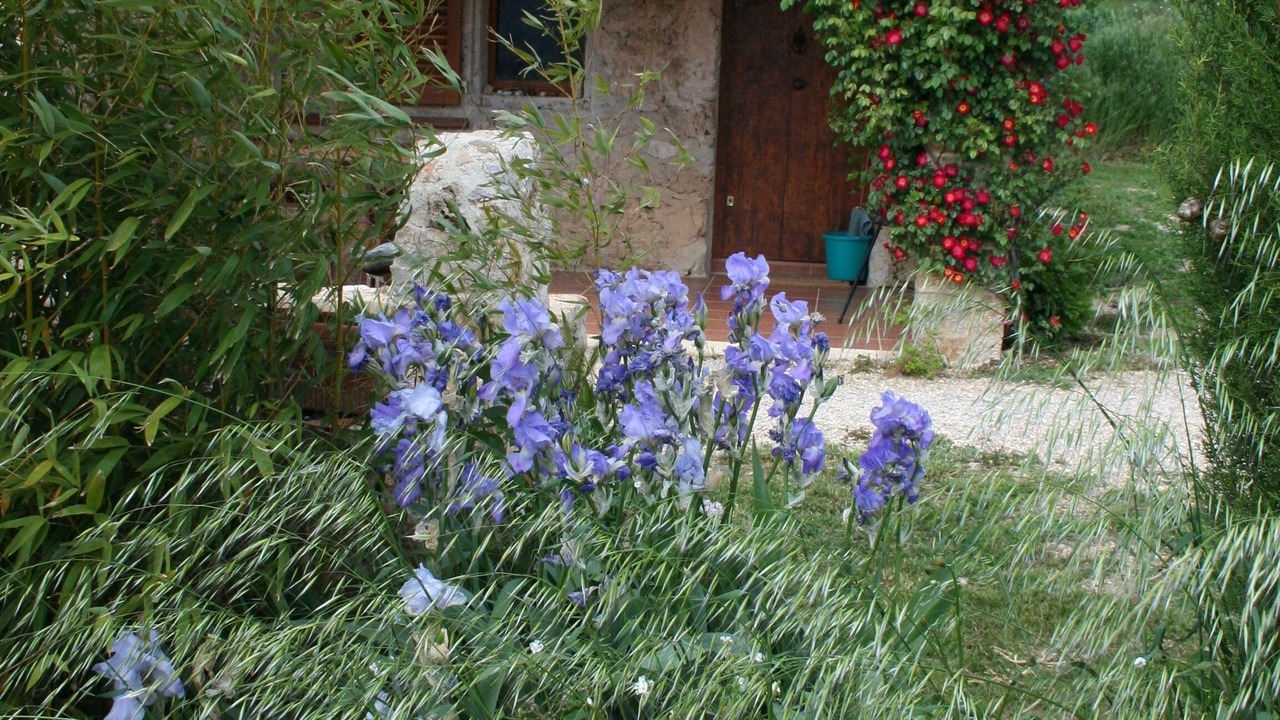 Photo of Outdoor in Villecroze